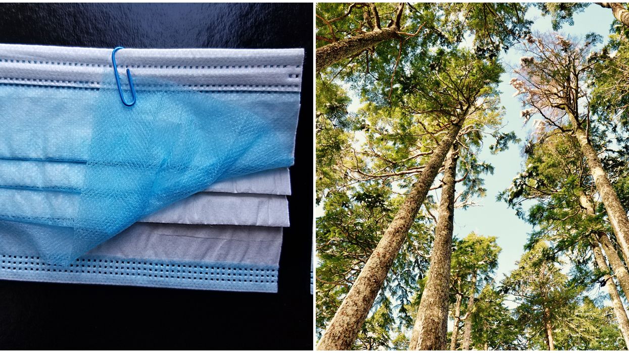 Biodegradable Face Mask Canada Has Funded Will Have A Sustainable Filter