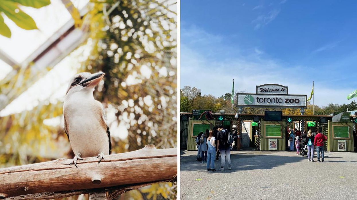 Bird at the Toronto Zoo. Right: Entrance of the Toronto Zoo.