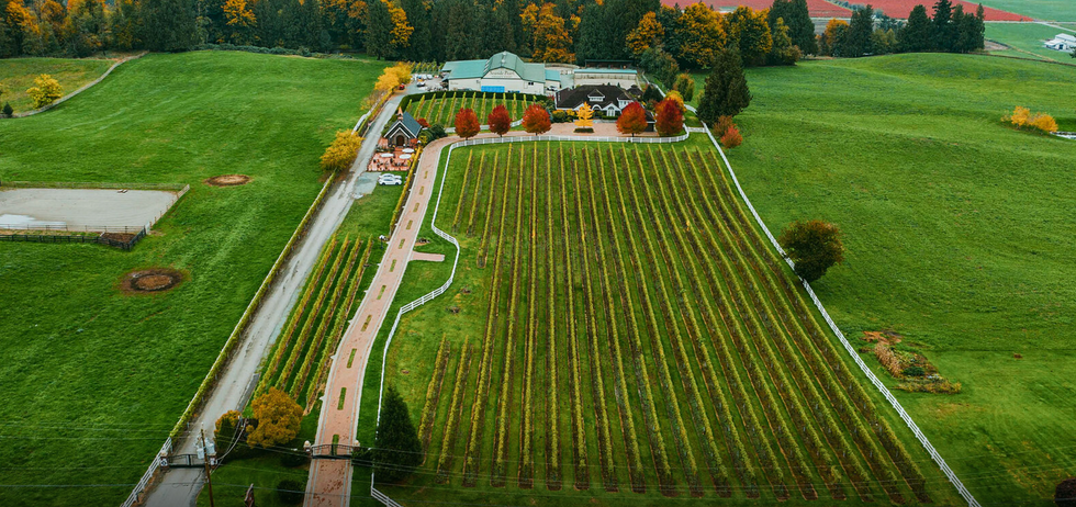 Birds-eye view of the Fraser Valley estate.