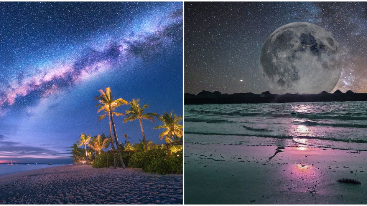 Black Moon Florida Stargazers Will Have Unparalleled Views Of The Night Sky This Week