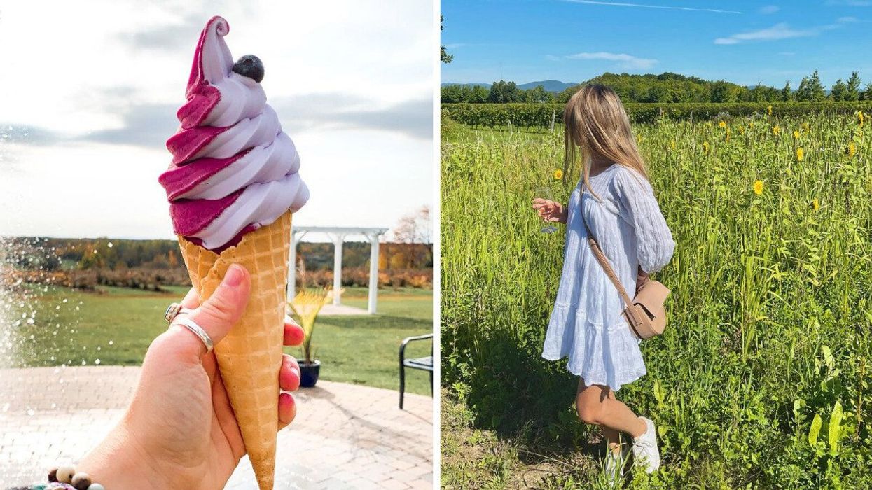 Bleuets du Vire-Crêpes. Droite : Vignoble Sainte-Pétronille.