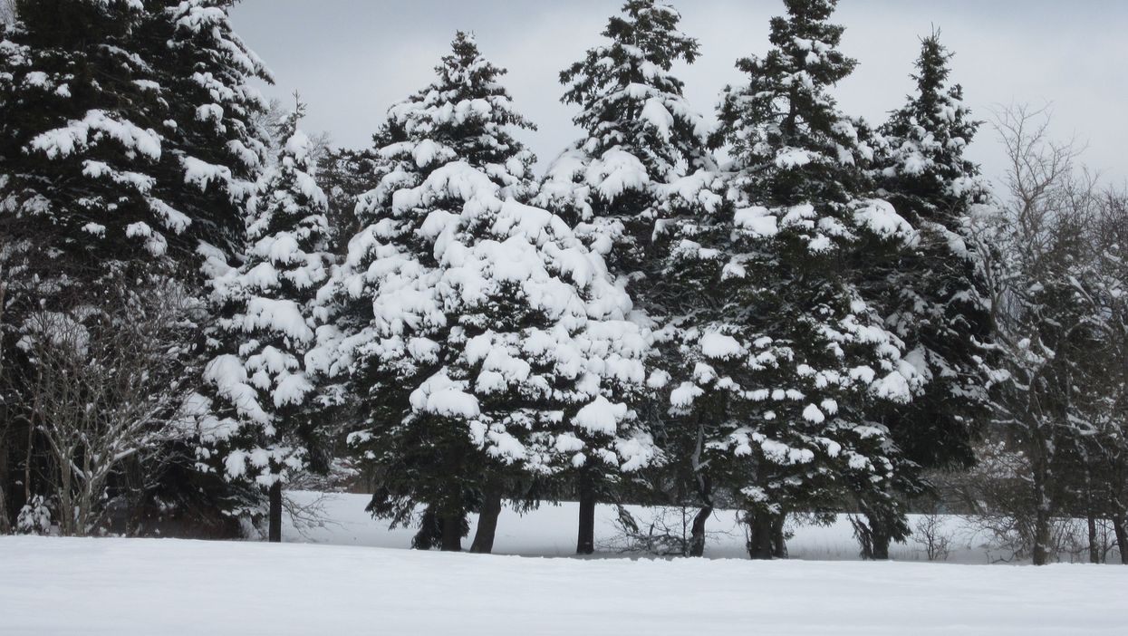 Blizzard In Canada That's Hitting This Province Is The First One Of Fall