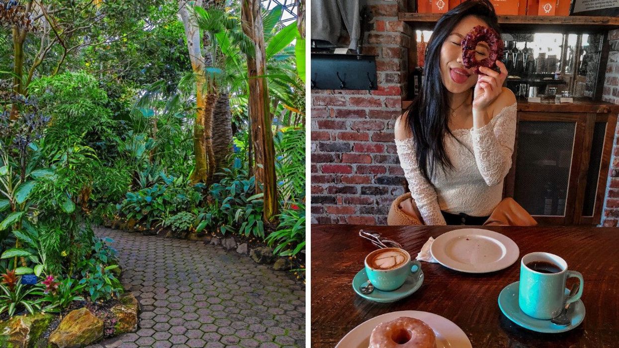 Bloedel Conservatory in Vancouver. Right: Person at 49th Parallel & Lucky's Donuts on Main St. in Vancouver.