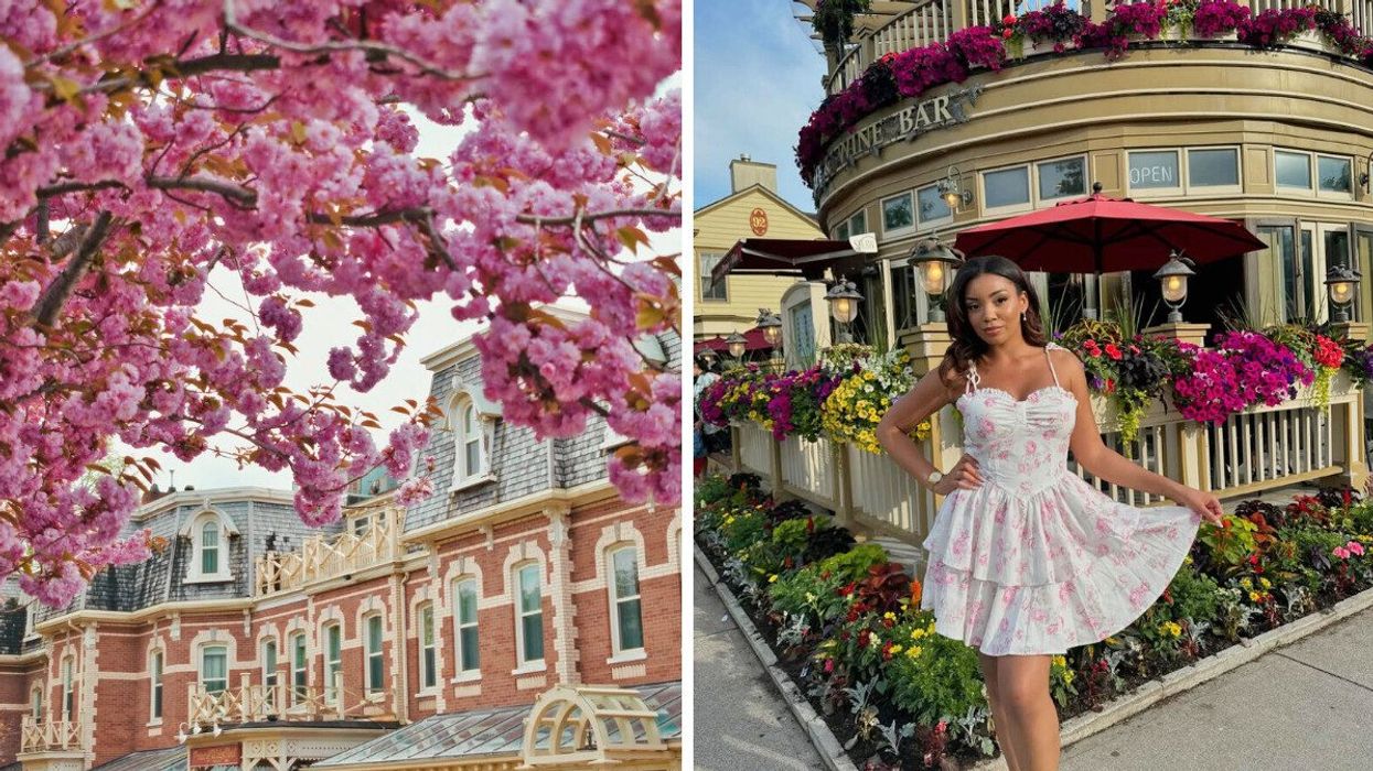 Blossoms in front of a historic building. Right: A person standing in front of a building with flowers.