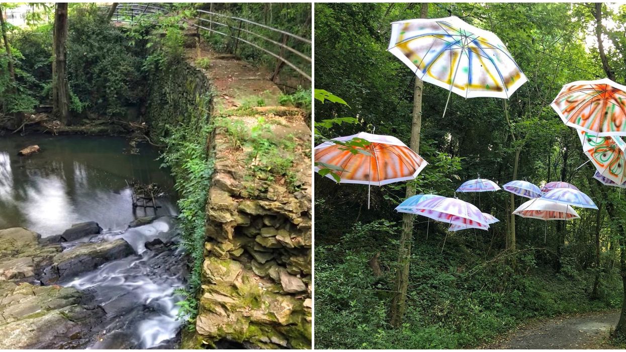 Blue Heron Nature Preserve Park In Atlanta Is A Lush Hidden Gem With An Art Trail