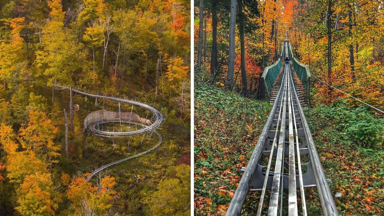 Blue Mountain Resort's 1-km Coaster Will Take You On A Wild Ride This Fall (VIDEO)