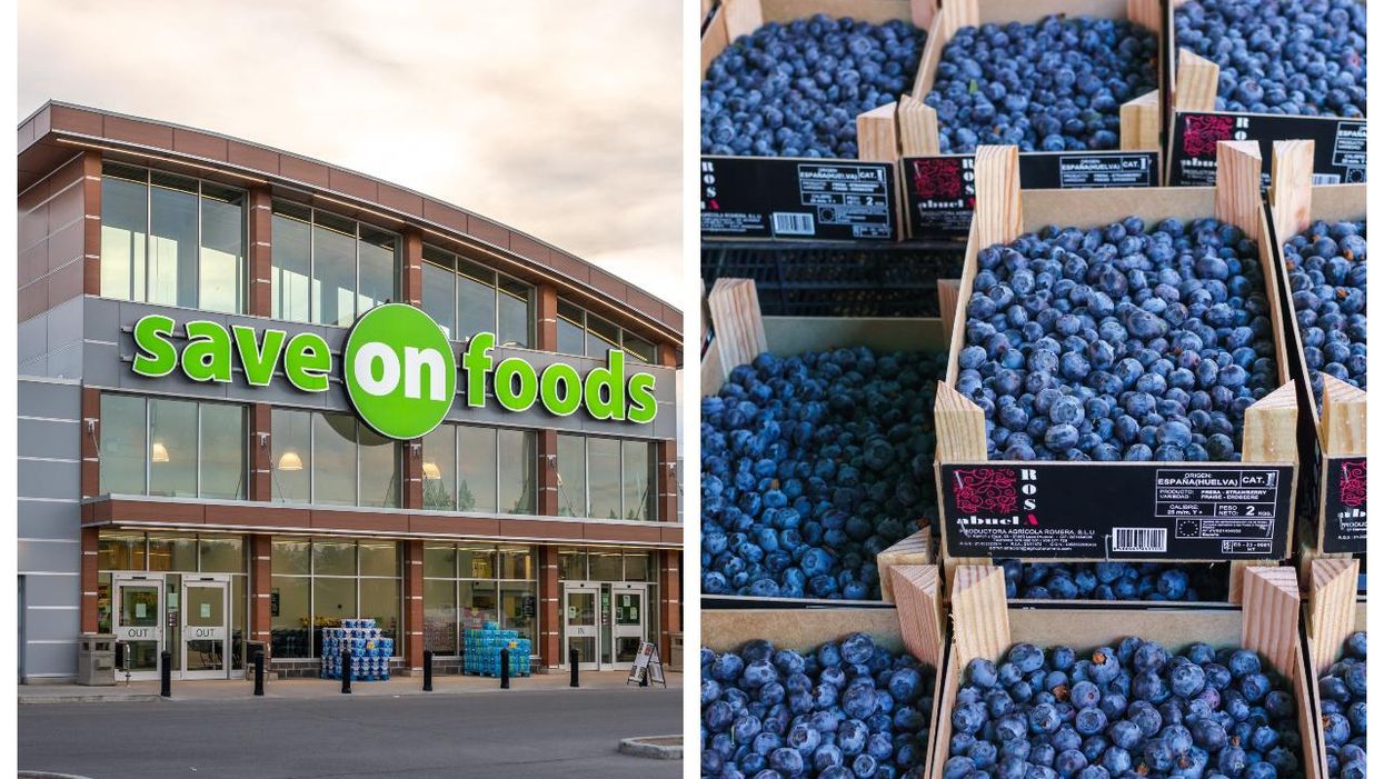 Blueberry Recall Has Been Issued Due To Cyclospora Contamination