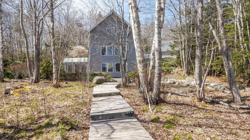 Boardwalk leading from the house through the forest.