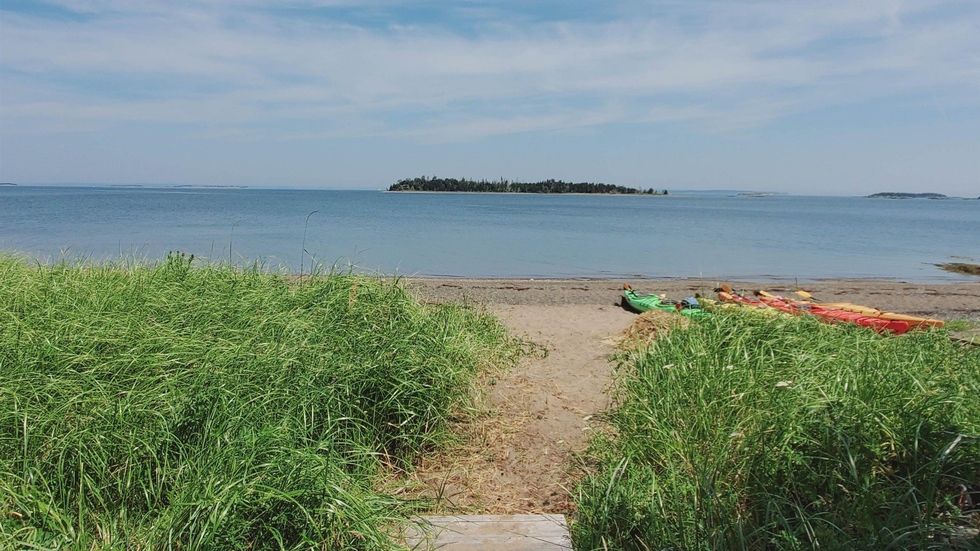 Boardwalk lined with beach grass that leads to a private beach.