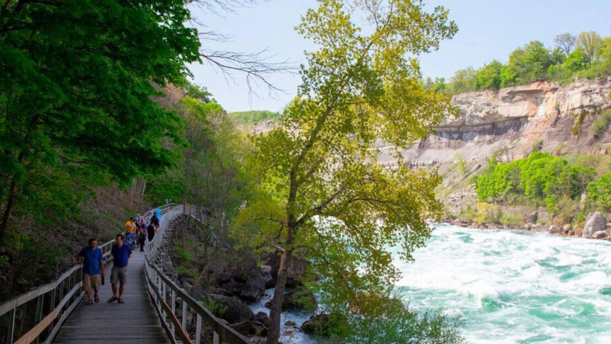 Boardwalk trail by a river.