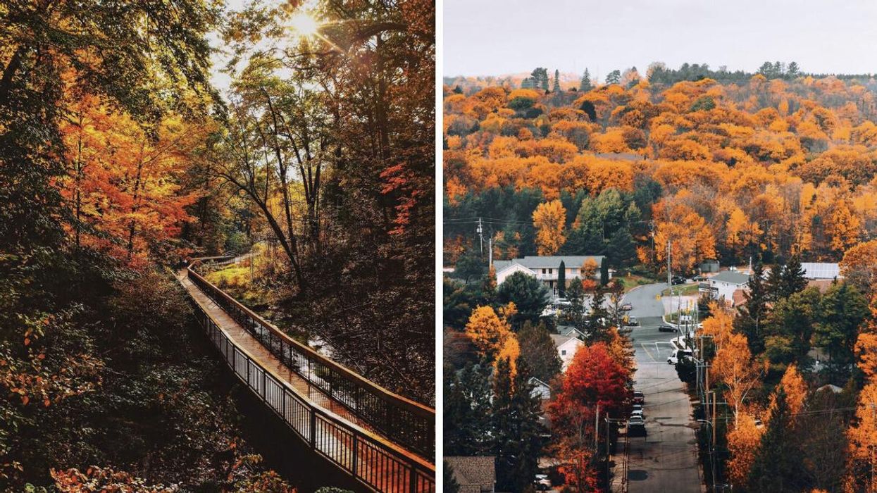 Boardwalk trail through a fall forest. Right: A town surrounded by fall colours.