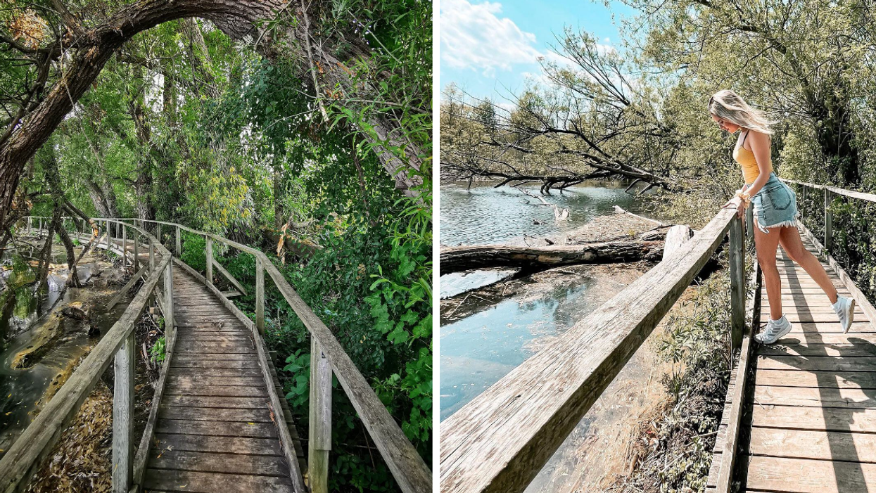 Boardwalk trail through a marsh forest. Right: Girl looking over the water from a boardwalk.