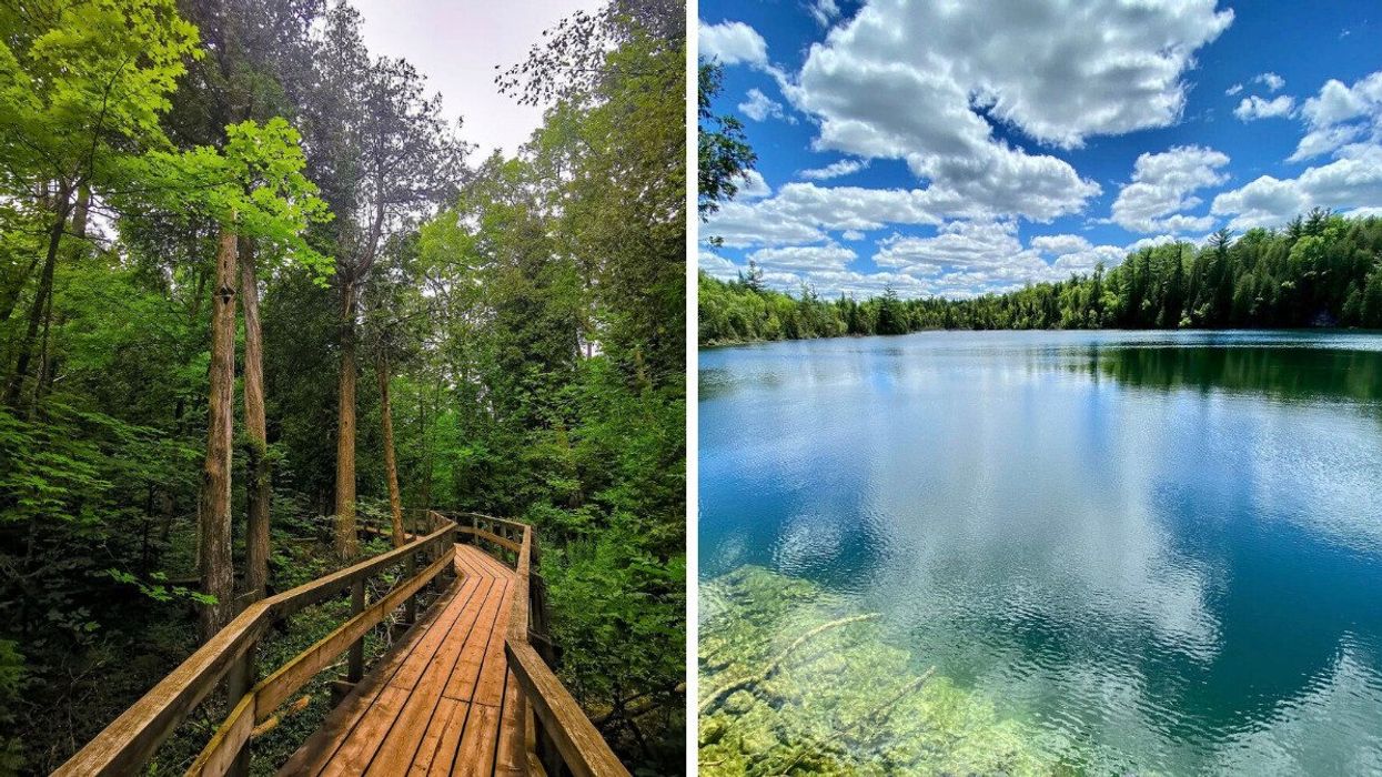 Boardwalk trail through forest. Right: Turquoise lake.