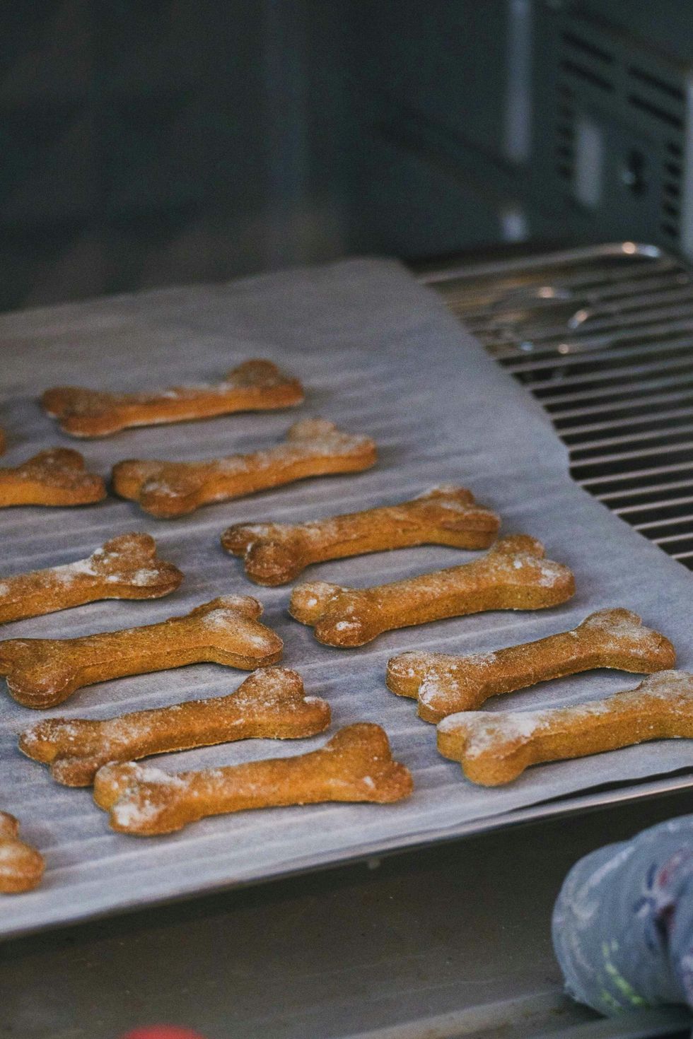 Bone-shaped cookies on a baking sheet in an oven.