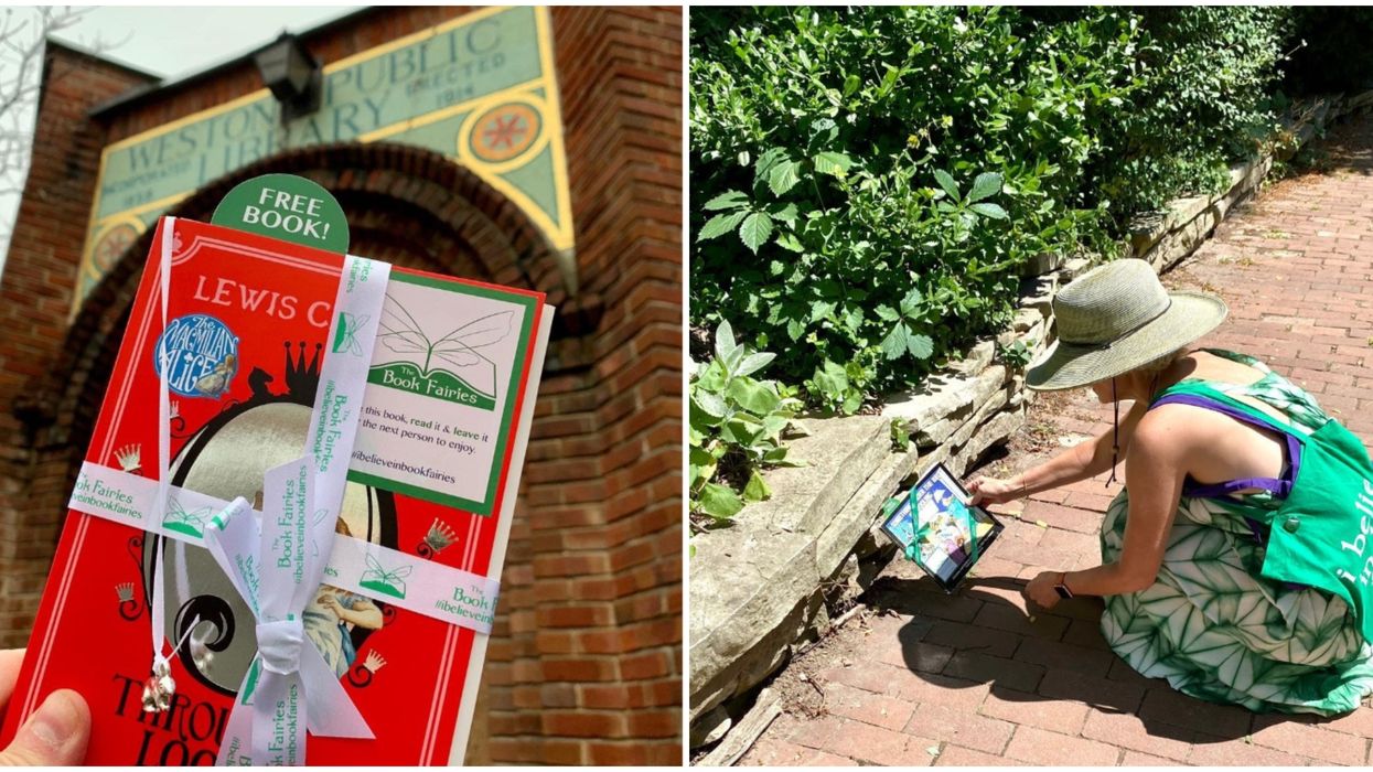'Book Fairies' In Toronto Are Hiding Good Reads Across The City For People To Discover