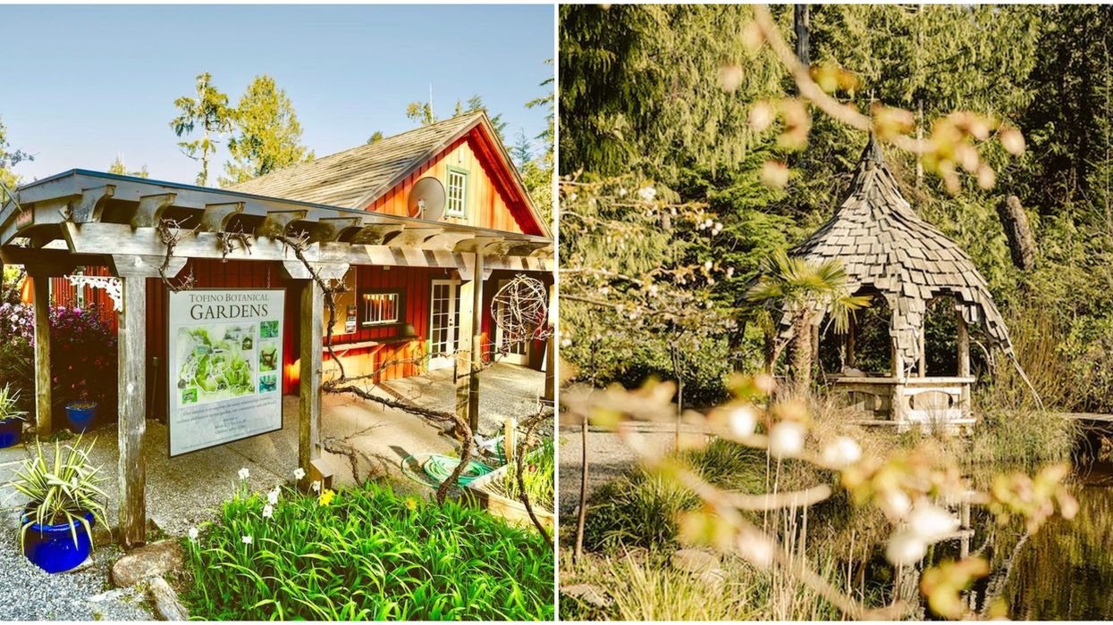 Botanic Garden For Sale In BC Is An Enchanted Forest You Can Own For Just $3.7M