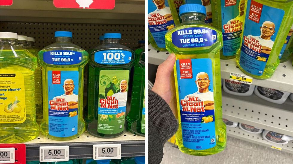 bottles of mr. clean all purpose cleaner at loblaws and dollarama