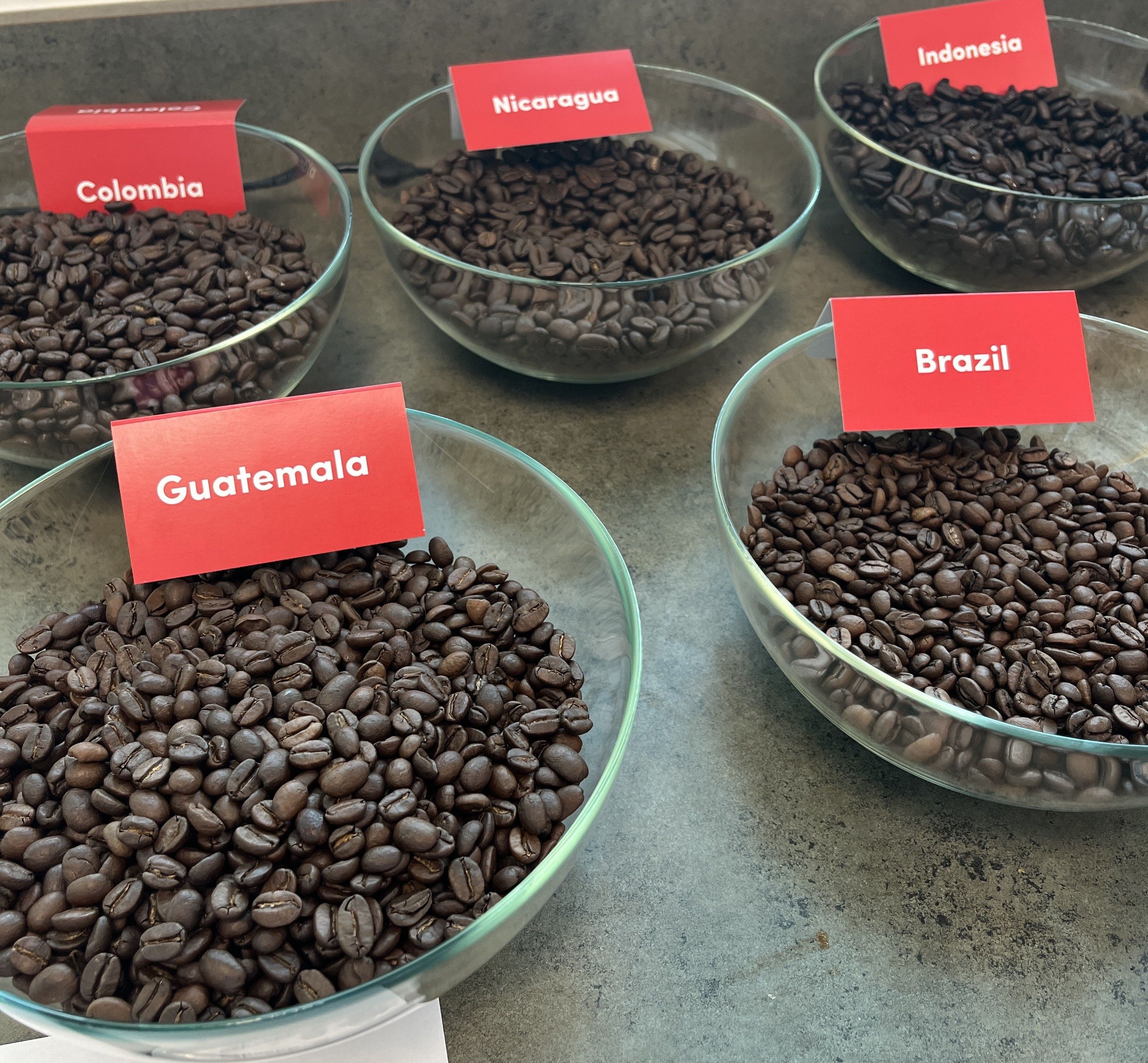Bowls of roasted coffee beans from different regions.