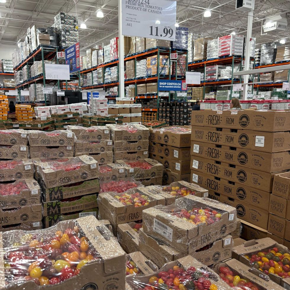 boxes of mini tomatoes at costco