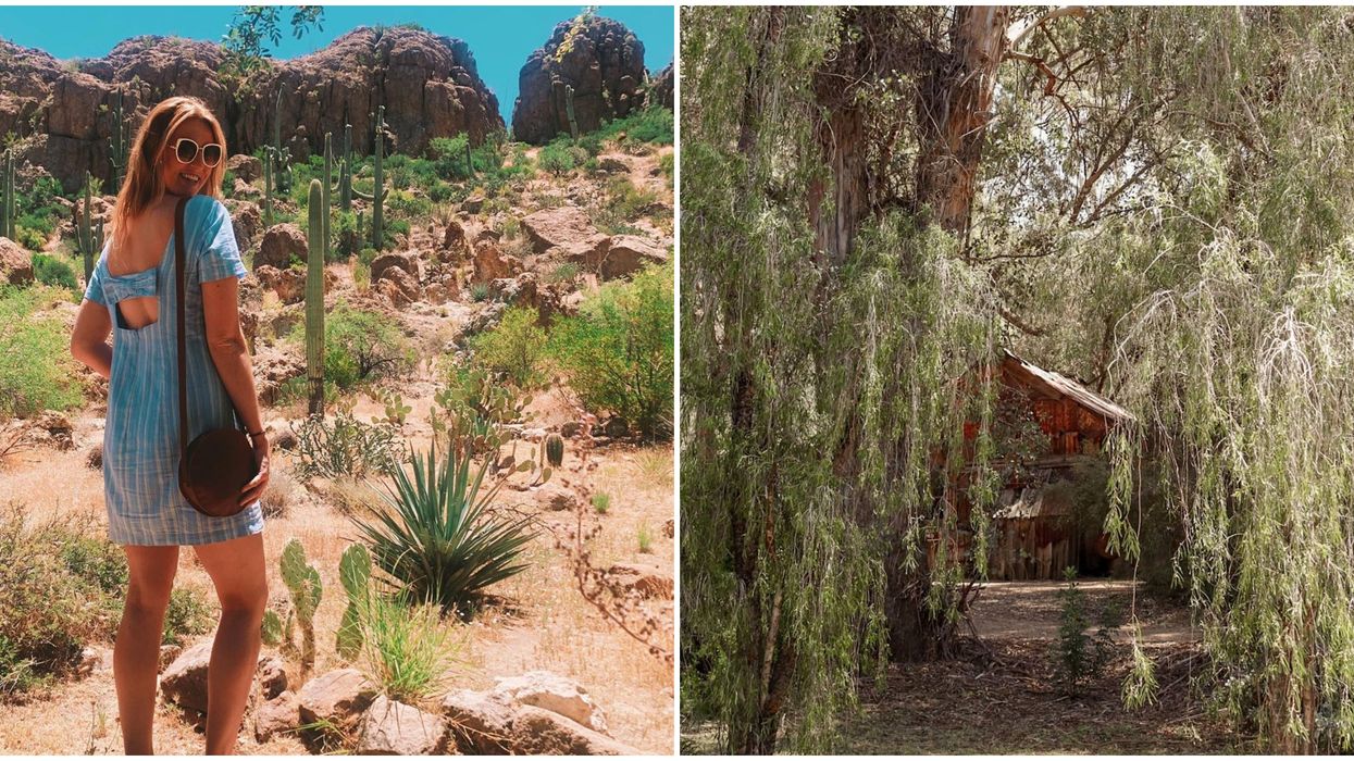 Boyce Thompson Arboretum In Arizona Eucalyptus Forest Will Whisk You To The Outback