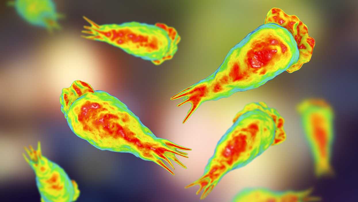 Brain-Eating Amoeba Reported In Florida Over Holiday Weekend