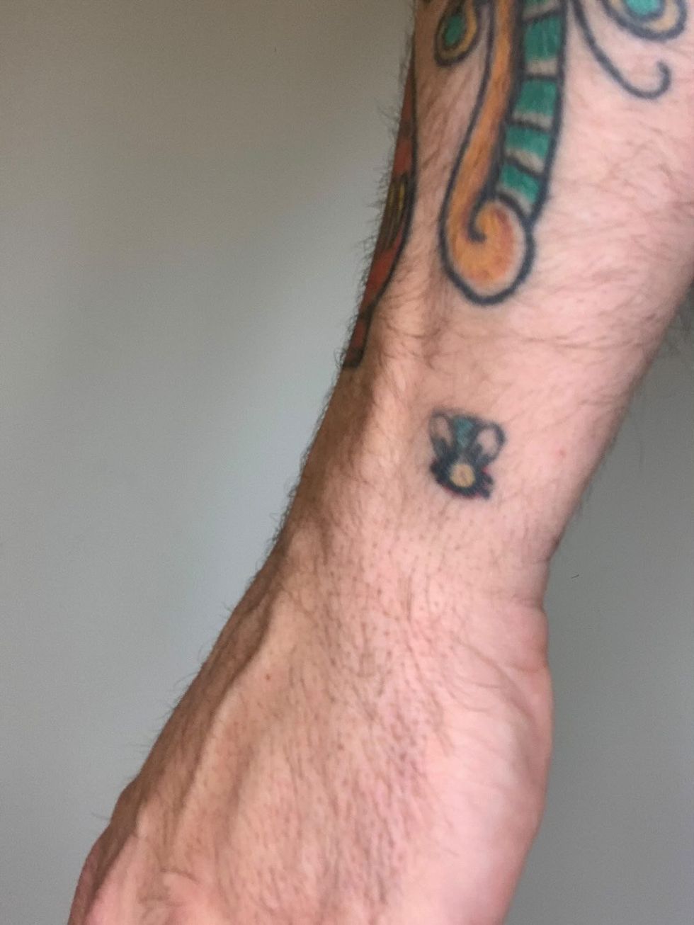 Bras avec des tattoos color\u00e9s, dont une mouche.