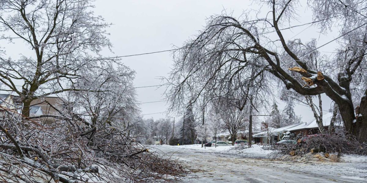 An ice storm threatens 20 mm of freezing rain and warnings are in effect for parts of Ontario An ice storm threatens 20 mm of freezing rain and warnings are in effect for parts of Ontario