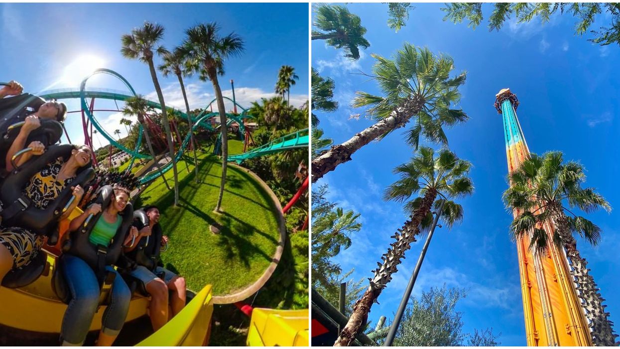 Busch Gardens Tampa Ticket Deal For Residents Give Unlimited Park Entry All Year For Cheap