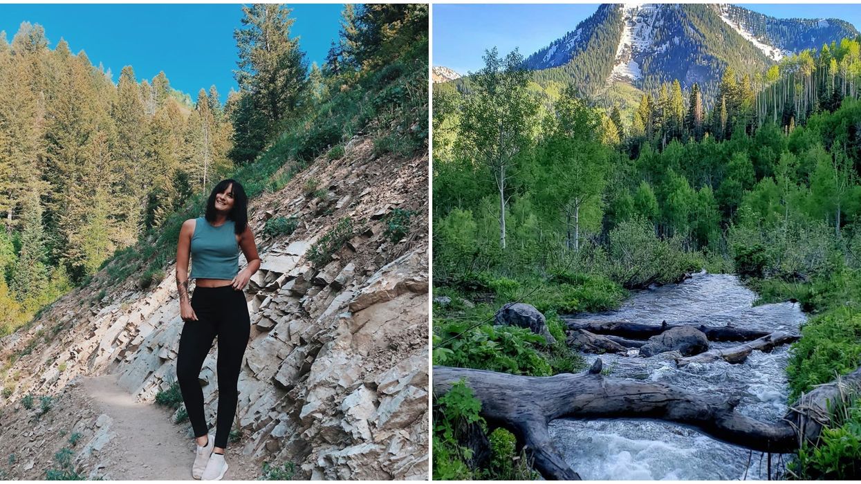 Butler Fork Trail In Utah Looks Like A Dreamy Scene Right Out Of Midnight Sun