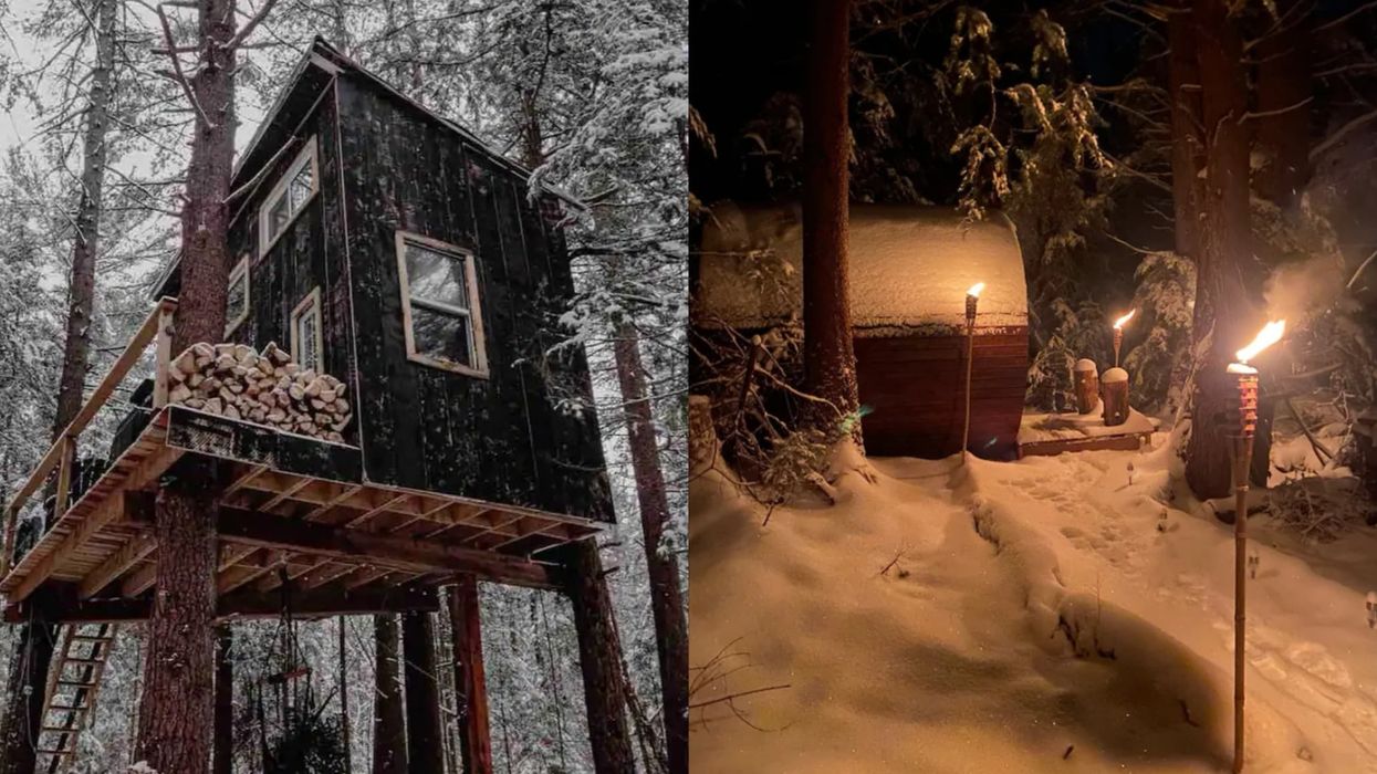 Cabane dans les arbres en Ontario