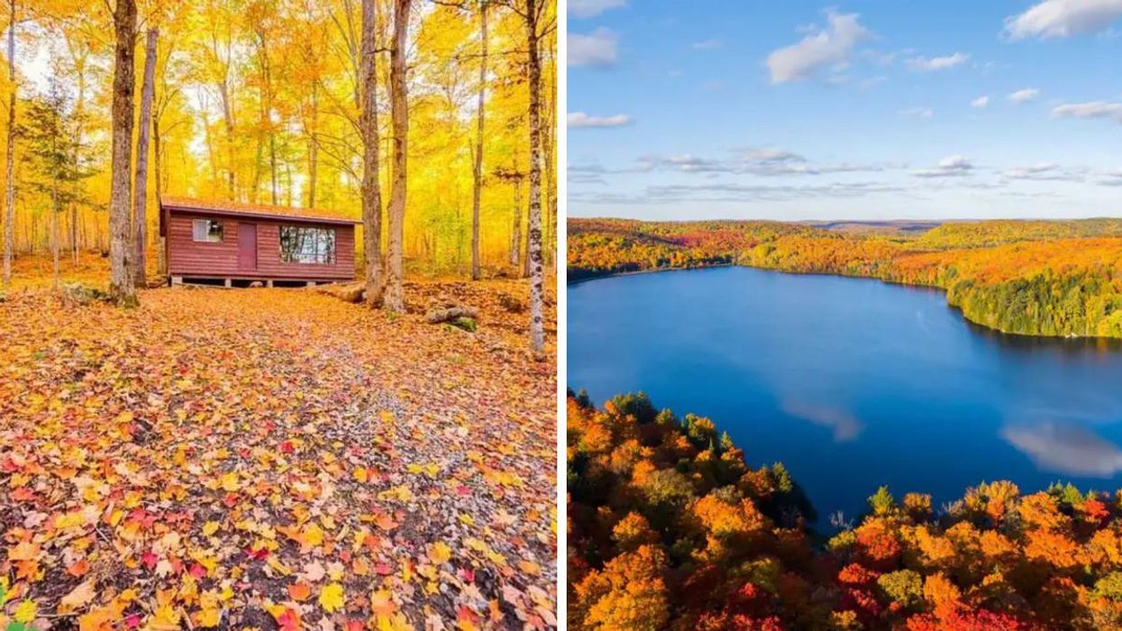 Cabin for sale in Highland Grove, Ontario.