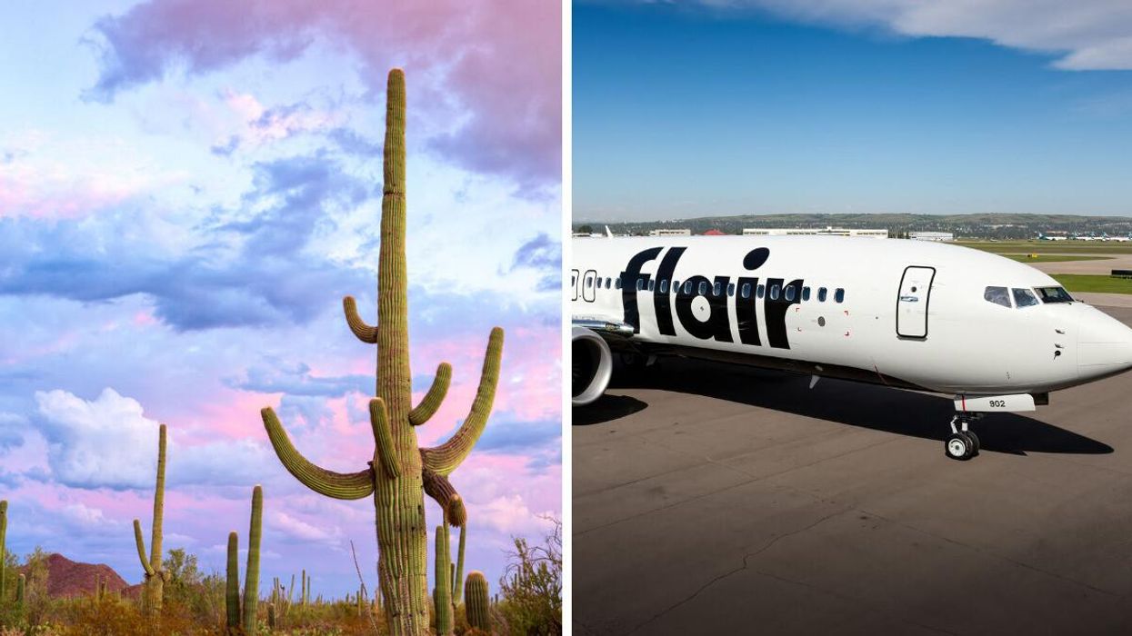 Cacti near Tuscon, Arizona. Right: A Flair plane.