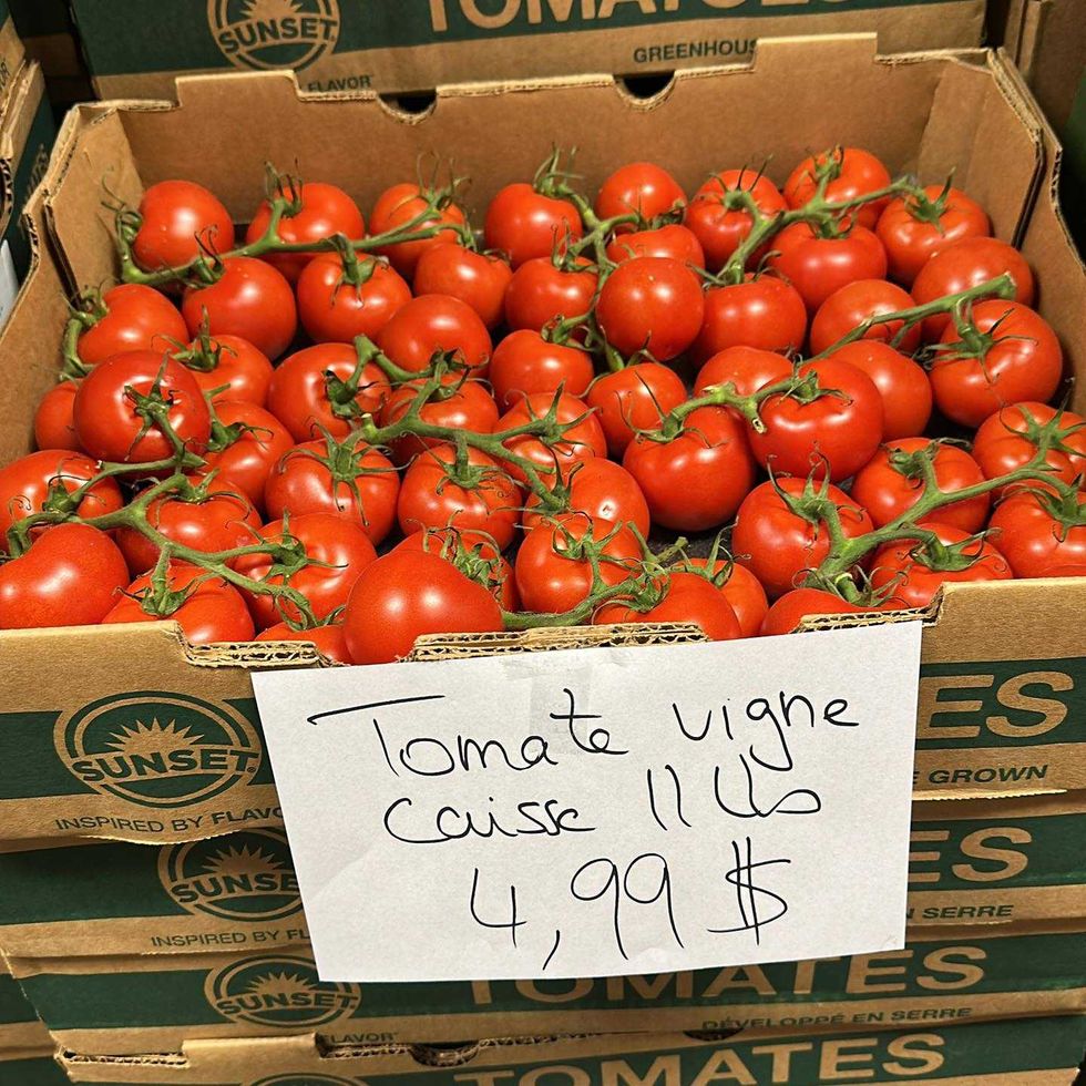 Caisse de tomates sur vigne pour 4,99 $ au Supermarch\u00e9 SavePlus \u00e0 Boisbriand.