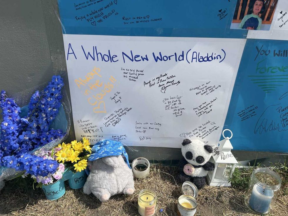 Calgary cites 911 mistakes in missing boy search