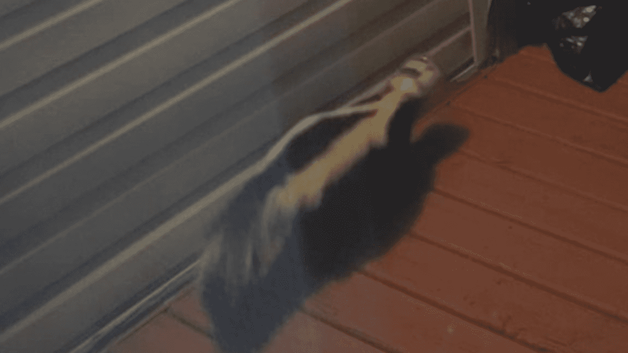 Calgary Police Helped Save A Skunk From A 'Jarring Situation' & Didn't Even Get Sprayed