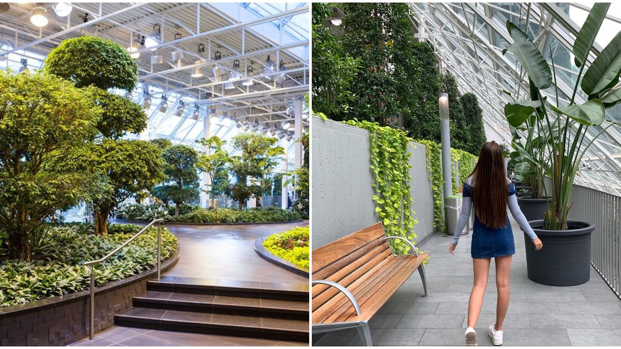 Calgary's Devonian Gardens In The Middle Of Downtown Is Finally Open Again