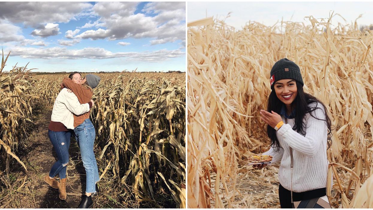 Calgary's Largest Corn Maze Is 11-Acres Of Fun This Summer