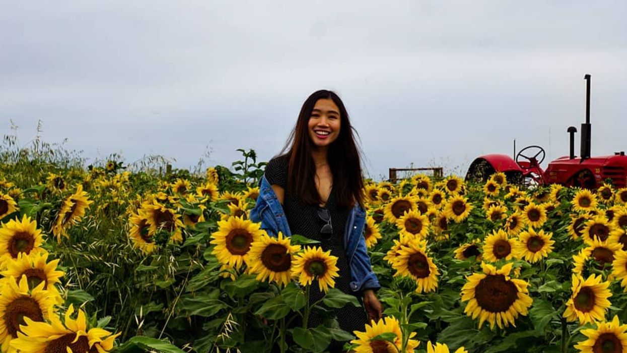 Calgary's Sunflower Field Opens Next Month & It's So Massive You Could Actually Get Lost