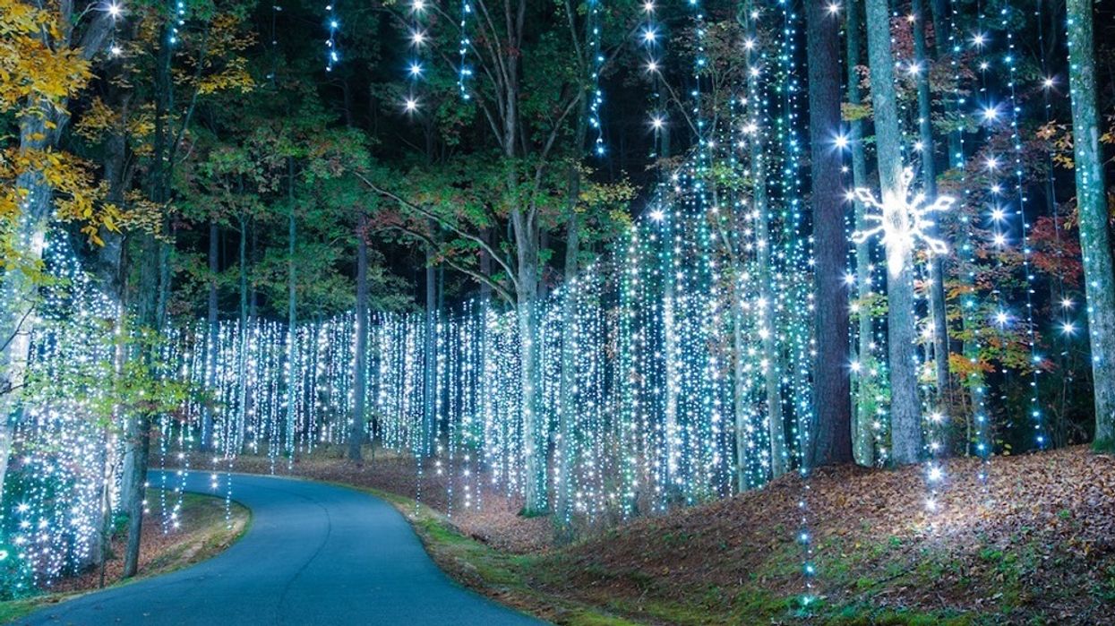 Callaway Gardens Fantasy In Lights Drive Thru Light Show Georgia Atlanta
