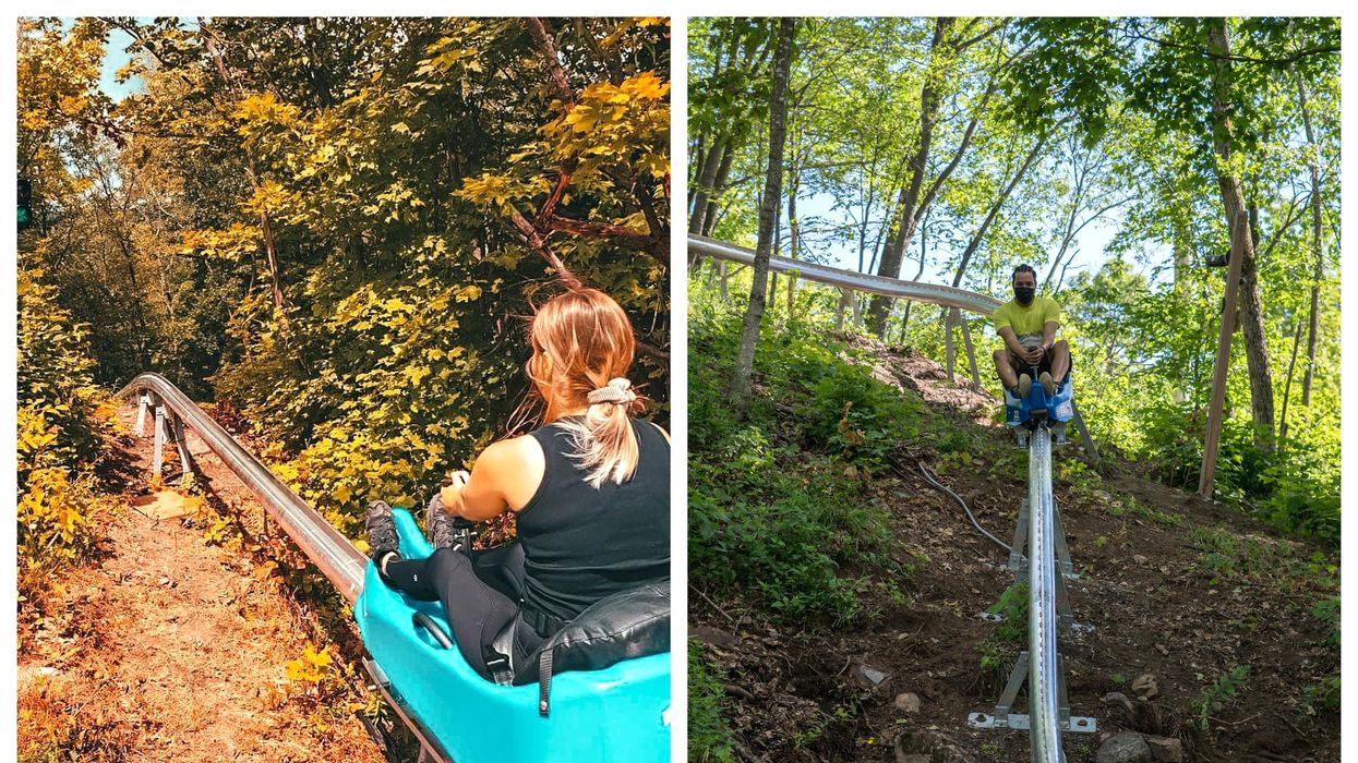 Camp Fortune's New Mountain Coaster Is A Thrilling Ride Near Ottawa