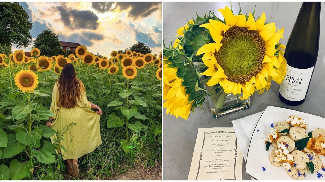 Campbell's Cross Farm Dinner Lets You Eat With Your Friends In A Sunflower Field