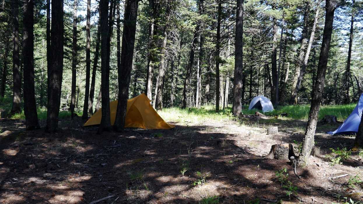 Campers In Alberta Are Pitching Tents Anywhere Including Ditches