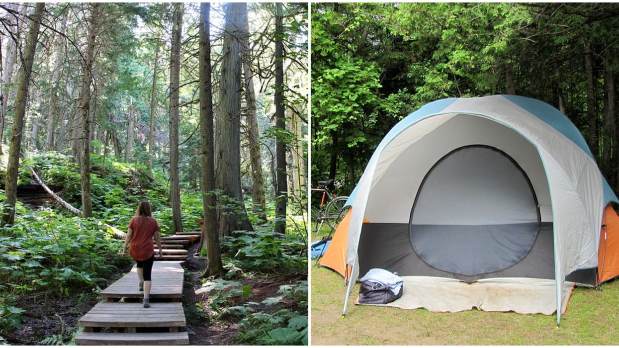 Camping In Revelstoke National Park BC Is Opening Soon & You Can Reserve Starting Now