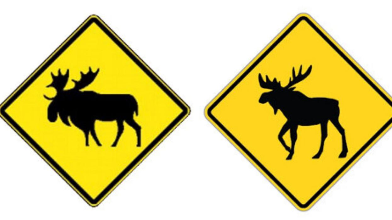 Canada Has A New Moose Sign & It's A Calgary TikToker That Made It Happen