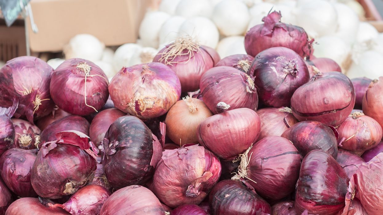 Canada Onion Recall: The Salmonella Outbreak Appears To Be Over