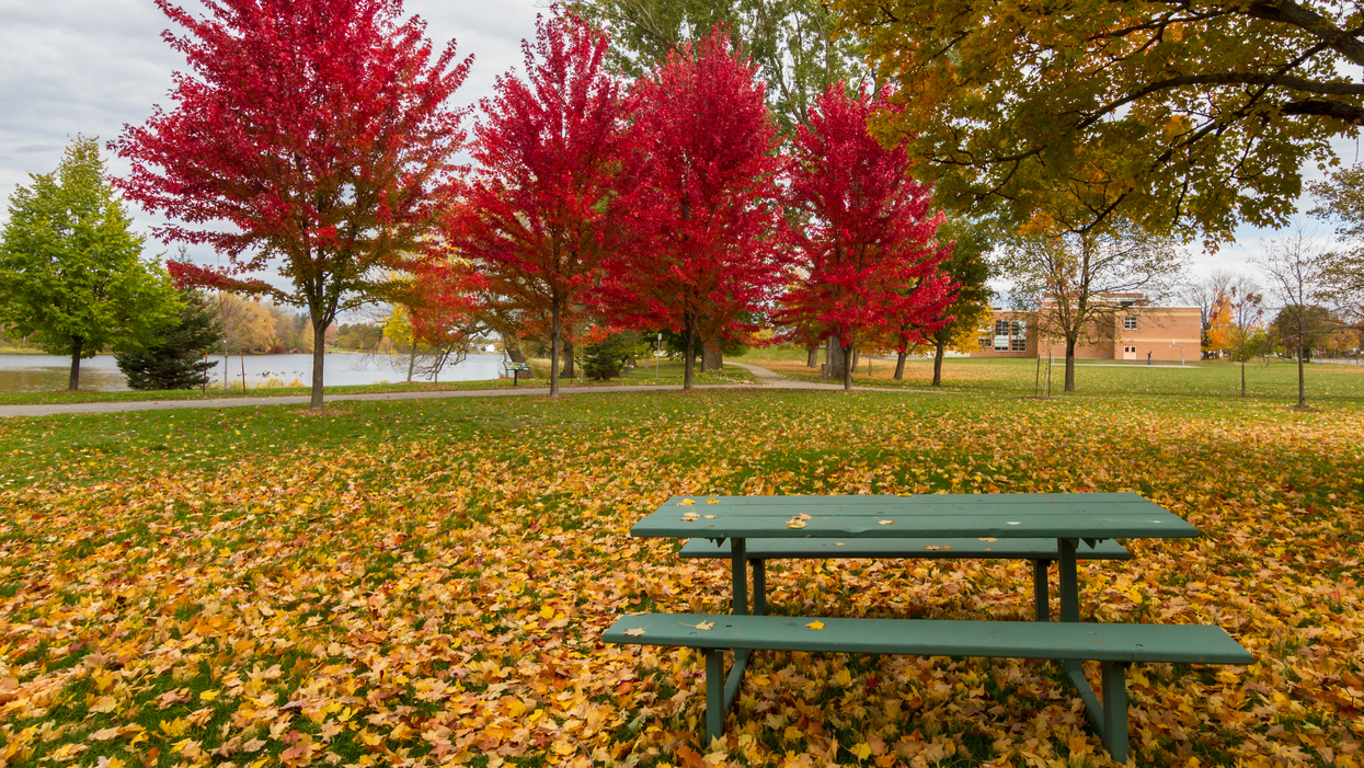 Canada's Fall Forecast Just Dropped & Toasty Temperatures Are Expected Almost Everywhere