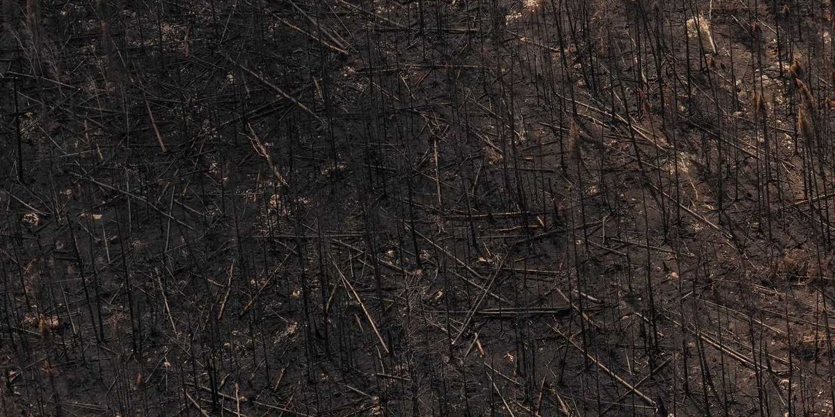 Climate change made Ontario, N.W.T. fire conditions roughly twice as likely: report Climate change made Ontario, N.W.T. fire conditions roughly twice as likely: report
