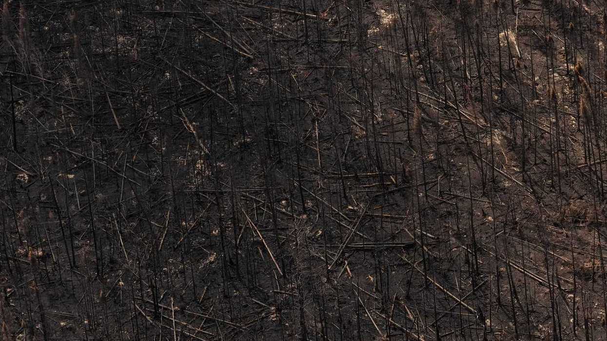 Canada's fires bear climate fingerprint: report