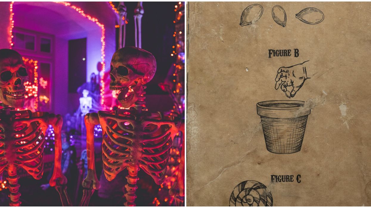 Canada’s Pumpkin Capital Just Discovered A Long-Lost Tradition & It Might Save Halloween 2020