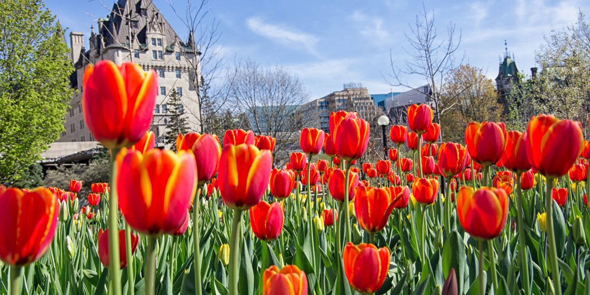 Canada’s 3-Month Forecast Just Dropped & It Could Be The Warmest Spring ...